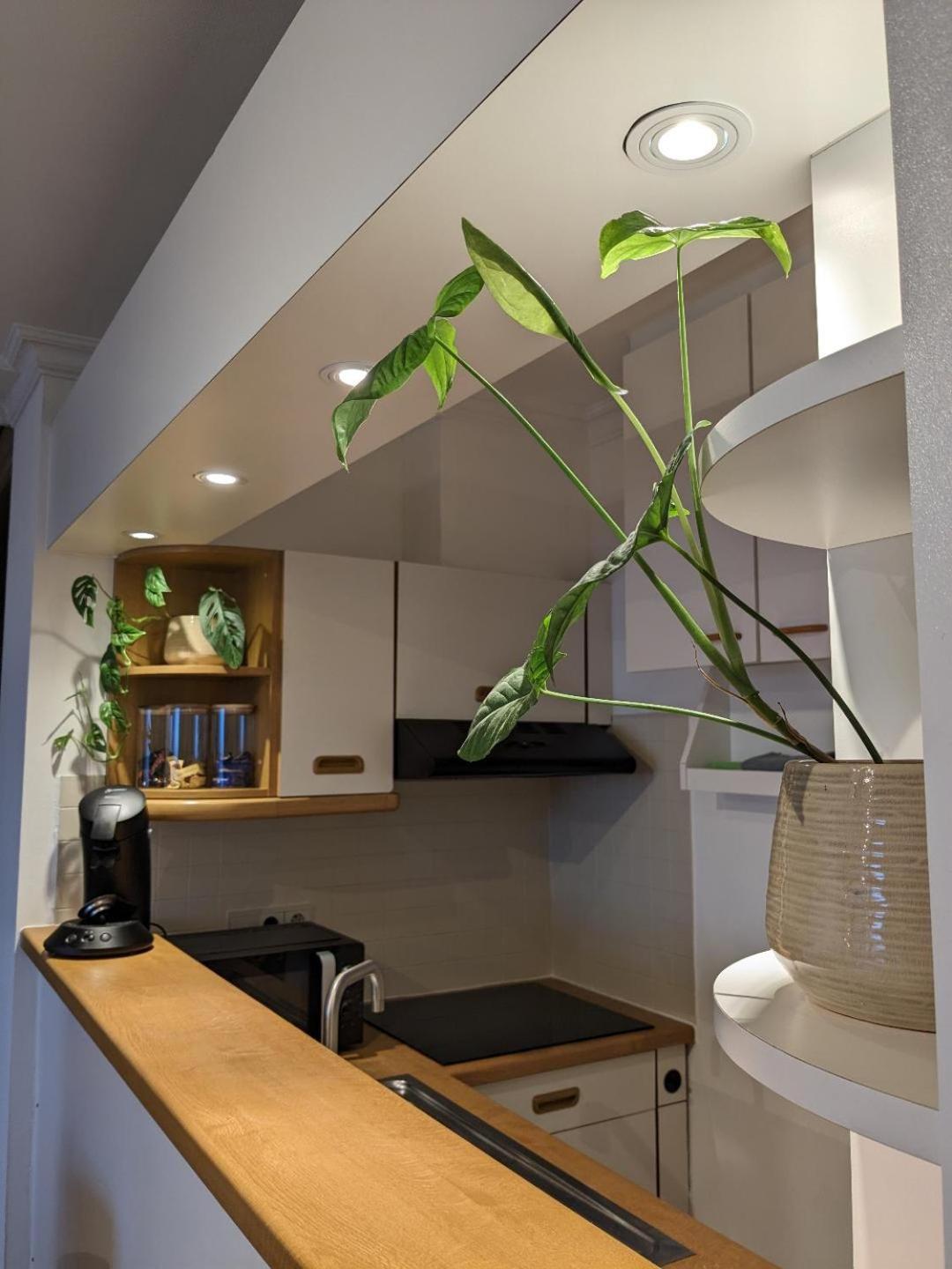 Vista Linda, Leuk Appartement Vlak Bij Zeedijk En Strand Ostende Extérieur photo